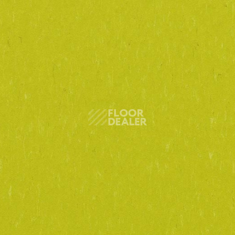 Линолеум Forbo Marmoleum Solid Piano 3646-364635 young grass фото 1 | FLOORDEALER
